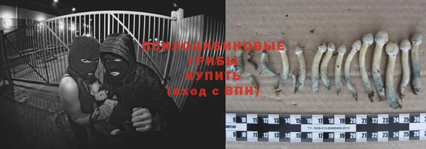 ПСИЛОЦИБИНОВЫЕ ГРИБЫ Белоозёрский