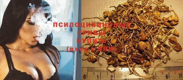 марки nbome Белокуриха