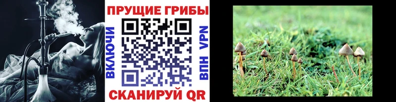 omg ТОР  Бутурлиновка  Псилоцибиновые грибы ЛСД 